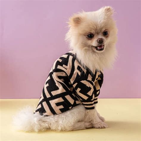 dog fendi sweater